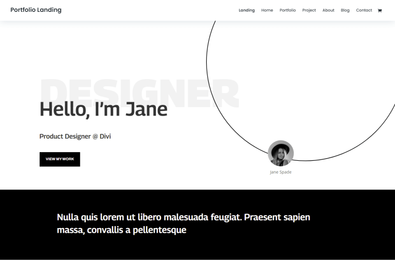 Divi Portfolio